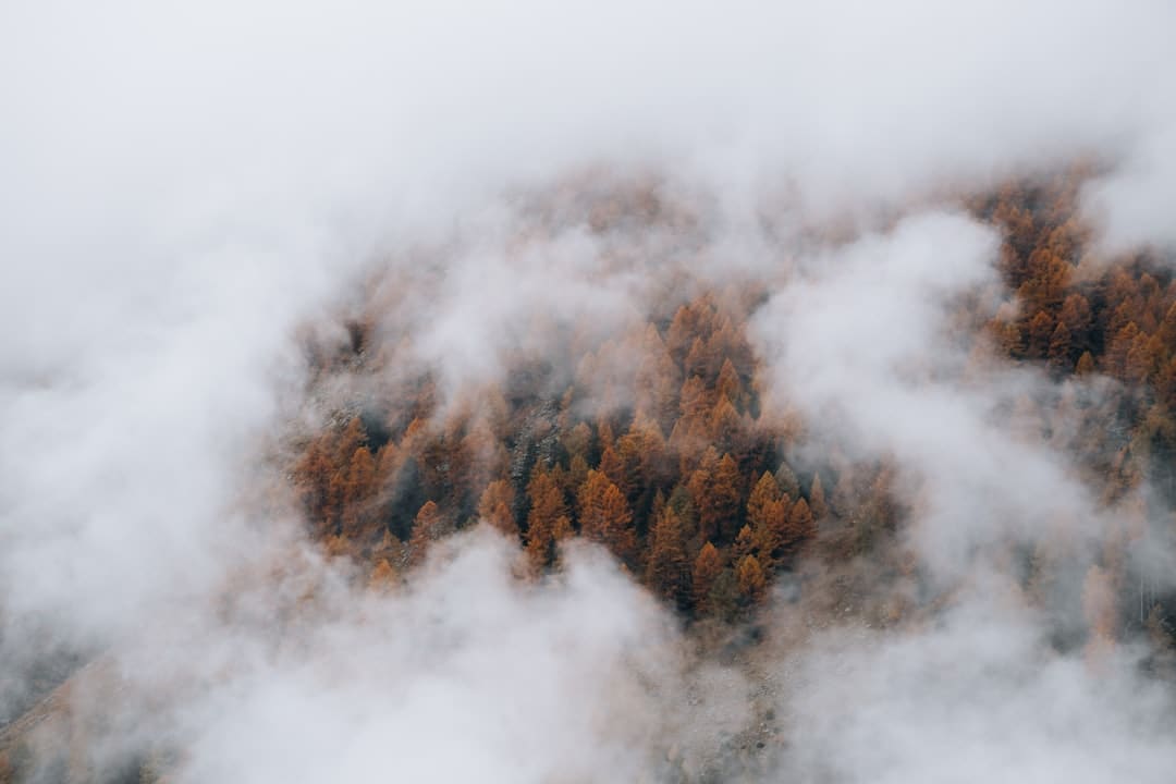前史的回响｜穿透漆黑的光束